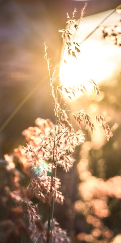 Anlamlı yaşam için: Kendini gerçekleştirme