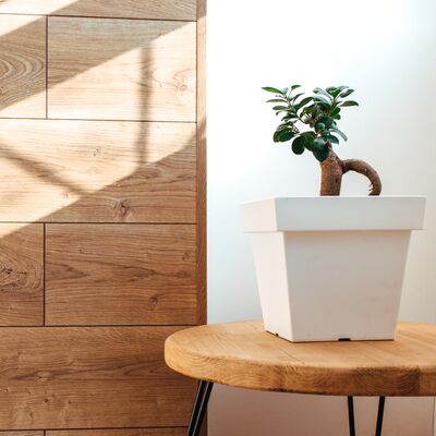 Feng Shui&#039;ye göre bu hediyeler alınmamalı