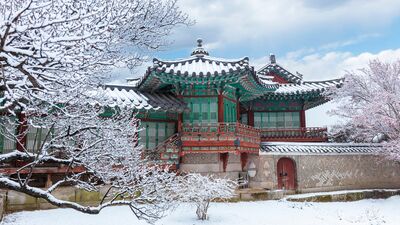 Kış rotası: Güney Kore