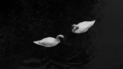 2024 yılının en iyi siyah beyaz fotoğrafları