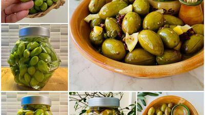 Kalamata yeşil zeytin nasıl yapılır?