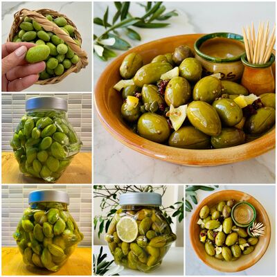 Kalamata yeşil zeytin nasıl yapılır?