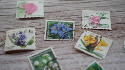  Koleksiyonculuğa başlamak için uygun ürünler