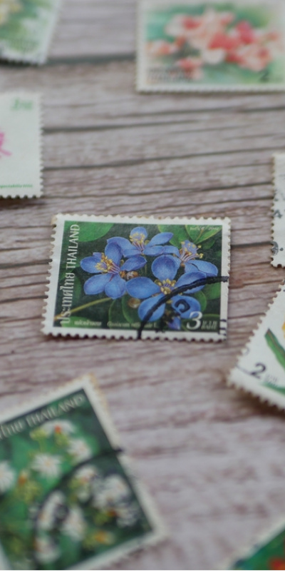 Koleksiyonculuğa başlamak için uygun ürünler