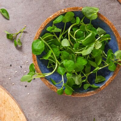 Dünyanın en sağlıklı sebzesi seçildi!
