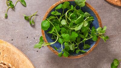 Dünyanın en sağlıklı sebzesi seçildi!