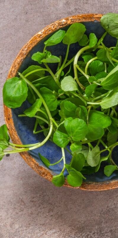 Dünyanın en sağlıklı sebzesi seçildi!