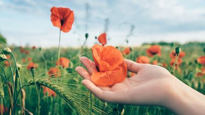  Ayrılık sonrası kendini yeniden keşfetmenin 8 yolu