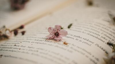 ‘‘Hepimiz anne yarası taşıyoruz’’