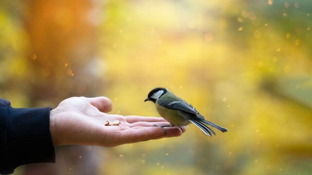 &quot;Paylaşmak, mutluluğun tek yoludur&quot;