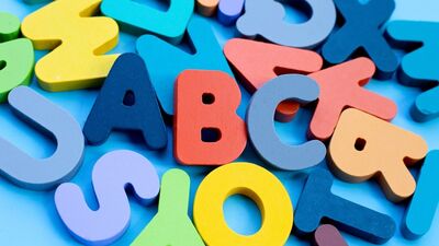 2024 yılının kelimesi: Beyin çürümesi