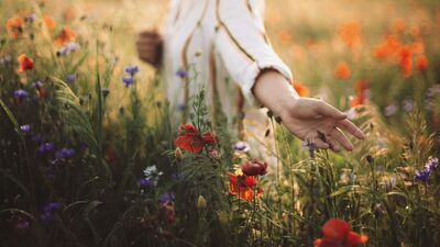 Mükemmeliyetçiliğin insan hayatına etkileri