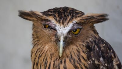 Nefret duygusu mental sağlığımıza zarar verir mi?