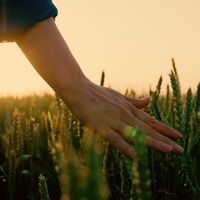 Bilinçli farkındalık ve meditasyon farklıdır
