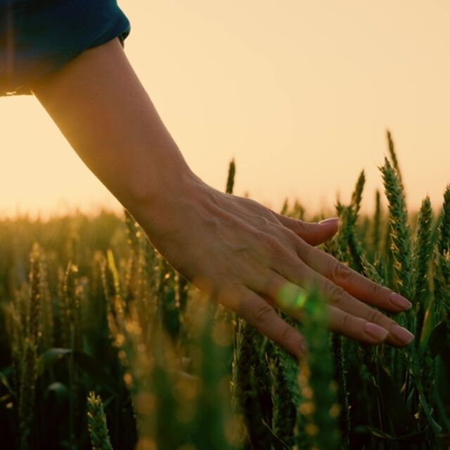 Bilinçli farkındalık ve meditasyon farklıdır