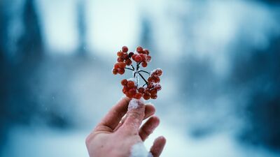 Bilinçli farkındalık ile meditasyon farklı şeylerdir