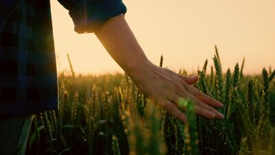 Bilinçli farkındalık ile meditasyon farklı şeylerdir