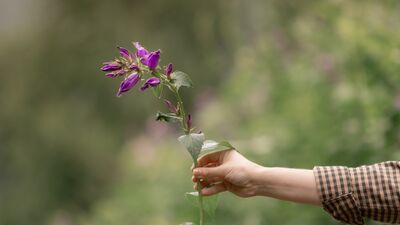 Gerçek benliğinizi kucaklayın!