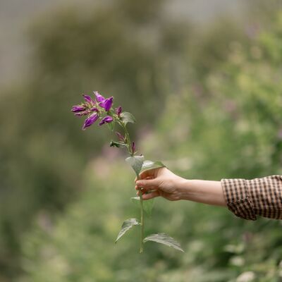 Gerçek benliğinizi kucaklayın!