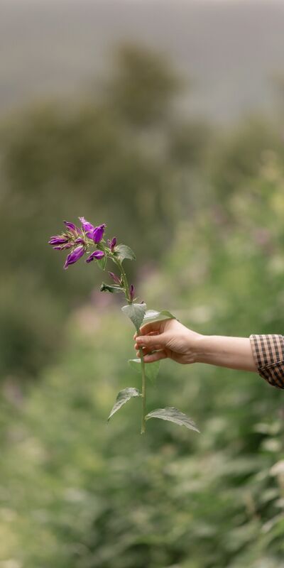 Gerçek benliğinizi kucaklayın!