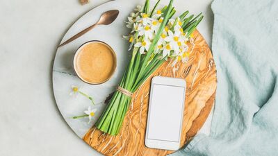 Güzelliğin ve kibrin sembolü: Nergis çiçeği