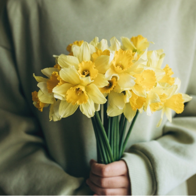 Güzelliğin ve kibrin sembolü: Nergis çiçeği