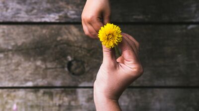 Çocuklarda yılın kelimesi: Nezaket