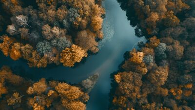 Telaşsız bir hayat