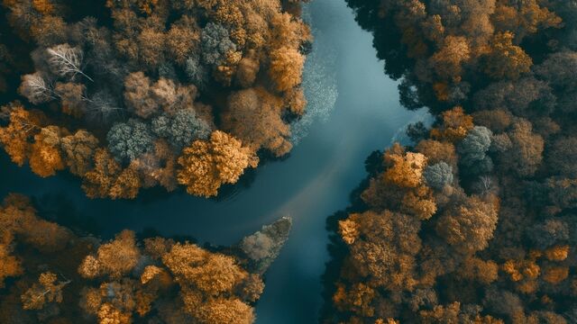 Telaşsız bir hayat