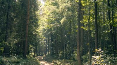 İçsel çatışmaları çözümlemenin yolları