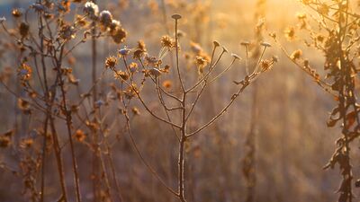 Bazı hisleri hafifletmenin 5 yolu