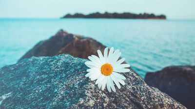 Yalnız kalmak bazen iyi hissettirir