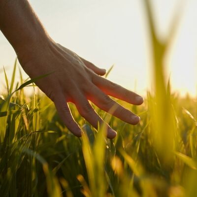 Kendi değerinizi keşfedin!