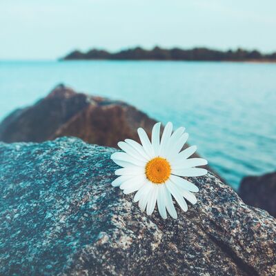 Yalnız kalmak bazen iyi hissettirir