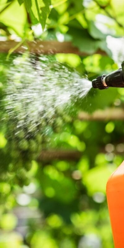 Tarım ilaçları çocuklarda kanser riskini artırıyor mu?