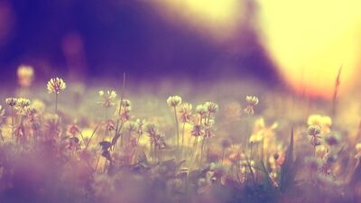 14 Mart - 7 Nisan Merkür Retrosu: Bahar temizliği