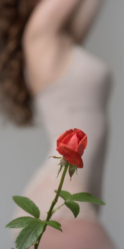 Vajina mikrobiyomuna dair bilmeniz gerekenler