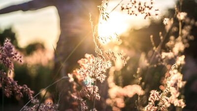  Gerçek tutkularımızı nasıl keşfederiz?