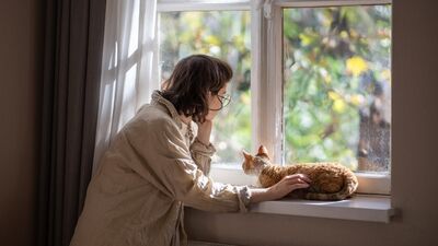 Kediler de terapi hayvanı olabilir mi?
