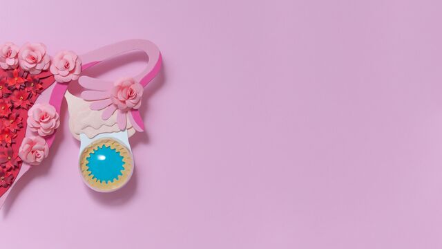 Korpus Luteum hakkında bilmeniz gerekenler