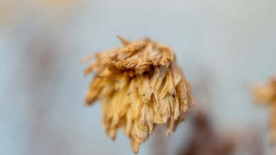 Sessizliğe saygı: Mattia Ahmet Minguzzi