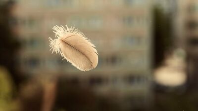  Evrenden size mesaj var!