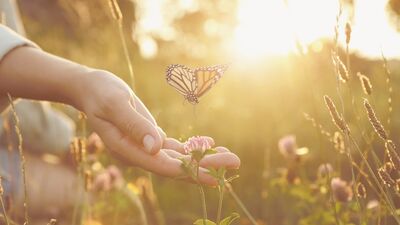 Geleceği düşünmek, bugünü iyileştirir