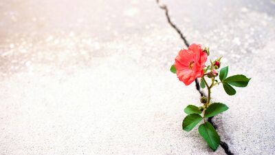 Kötü alışkanlıklardan nasıl kurtulabilirsiniz?