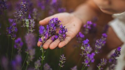 Kendine sınır koymayı öğren!