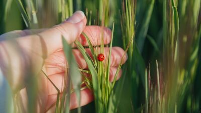 Bırakma sanatında ustalaşmak