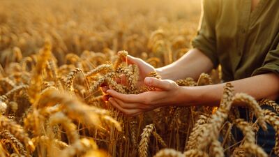 Parayla barışmadan bolluğu hayatına çekemezsin