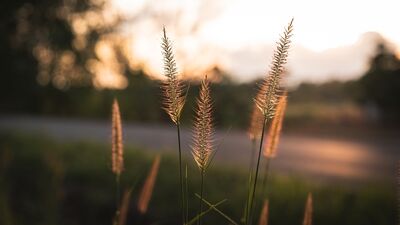 Çocukluk travmalarından kurtulup gerçek seni ortaya çıkar!