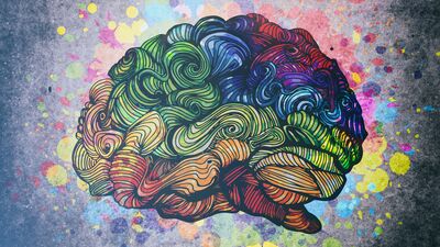 Beynin öğrenme mekanizmaları nasıl çalışır?