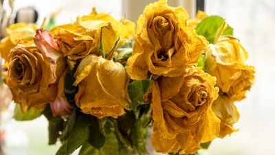 Kronik hastalıklar depresyon riskini artırıyor